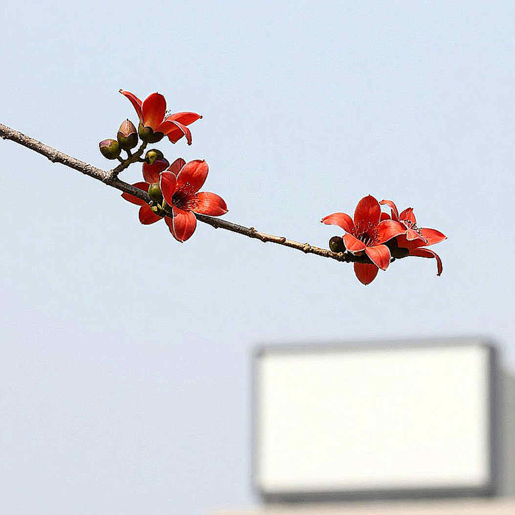 ছয় বছরের নিষেধাজ্ঞা: দুই বছরের ওষুধ, চার বছরের একটা প্রেসক্রিপশন প্যাড